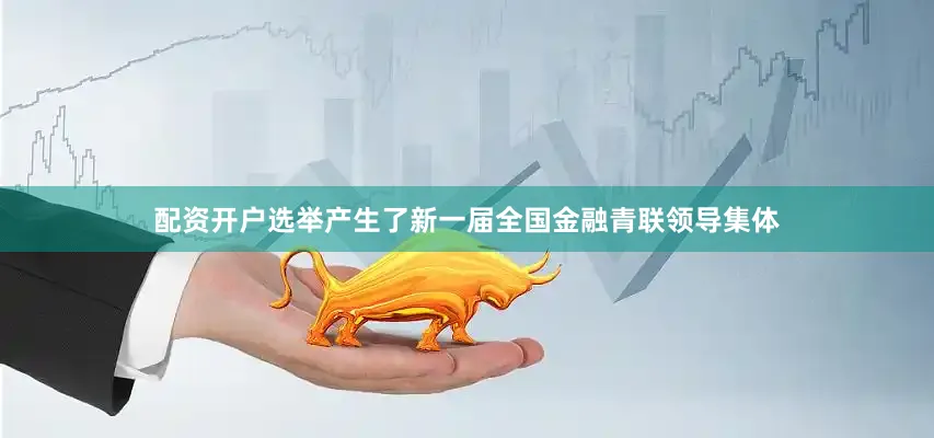 配资开户选举产生了新一届全国金融青联领导集体