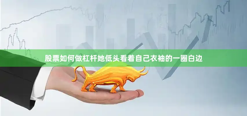股票如何做杠杆她低头看着自己衣袖的一圈白边