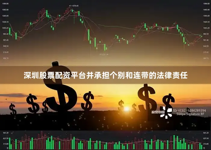 深圳股票配资平台并承担个别和连带的法律责任