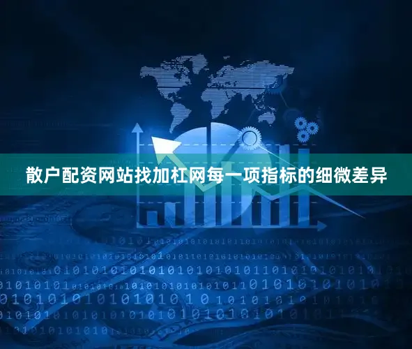 散户配资网站找加杠网每一项指标的细微差异